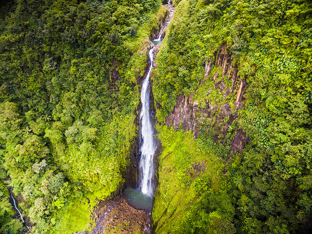 D couvrez Les Chutes Du Carbet Basse Terre Blog Du Jardin Malanga