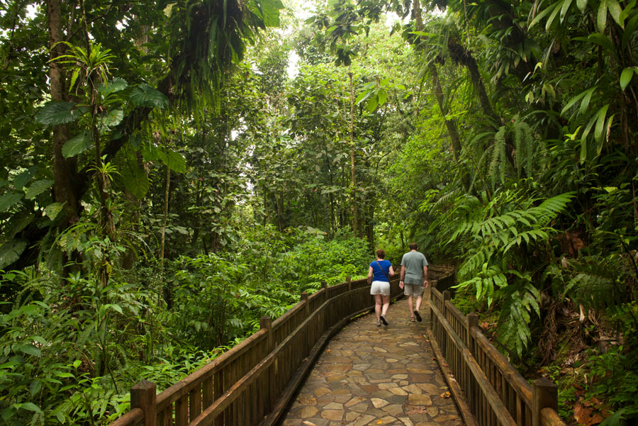 Parc National Guadeloupe