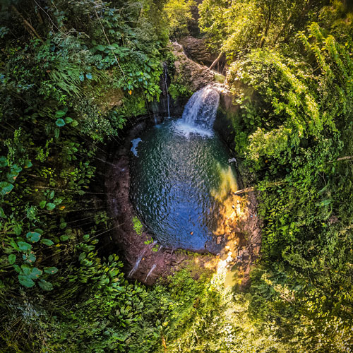 Saut Lézarde