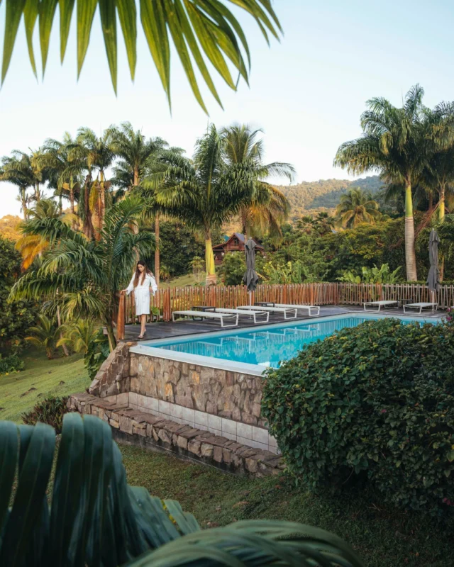 Piscine, soleil et nature luxuriante : un cadre qui invite à la déconnexion totale 😍 

📸 @buchowski 

#JardinMalanga #FrenchCaribbean #MyGuadeloupeParadise #Guadeloupe #GuadeloupeIslands #HotelEnGuadeloupe #BoutiqueHotel #BasseTerre #Piscine